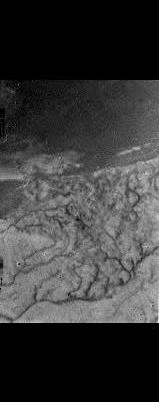 drainage and possible coastline on Titan