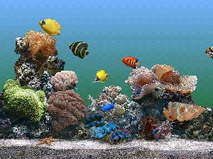 Marine Aquarium Screen Shot